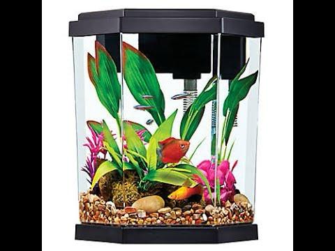 Anko 360° Hexagon LED Aquarium - PRE-OWNED